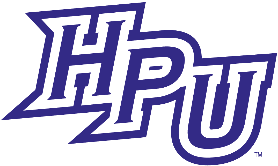 High Point Panthers 2012-Pres Primary Logo iron on transfers for clothing